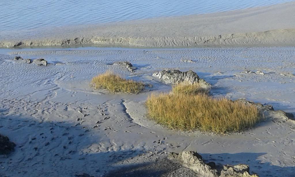 Les Hirondelles De La Baie Villa Vains Bagian luar foto